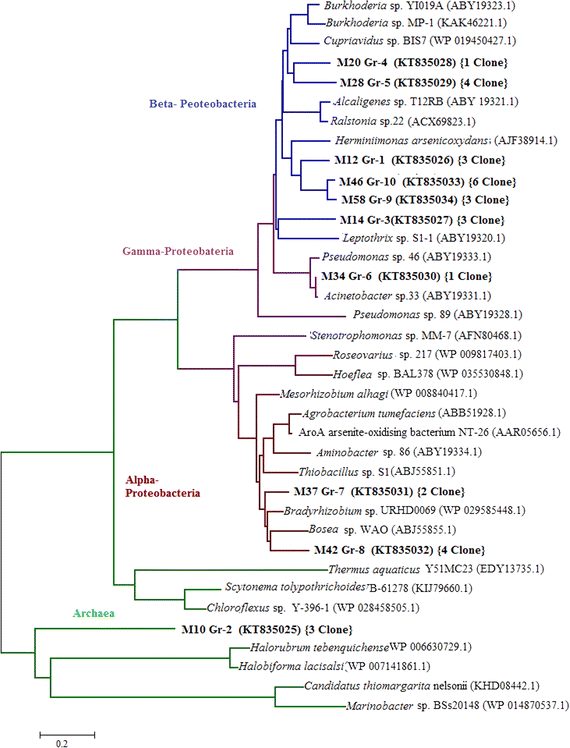 Fig. 2