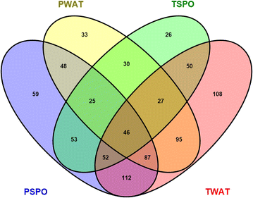 Fig. 3