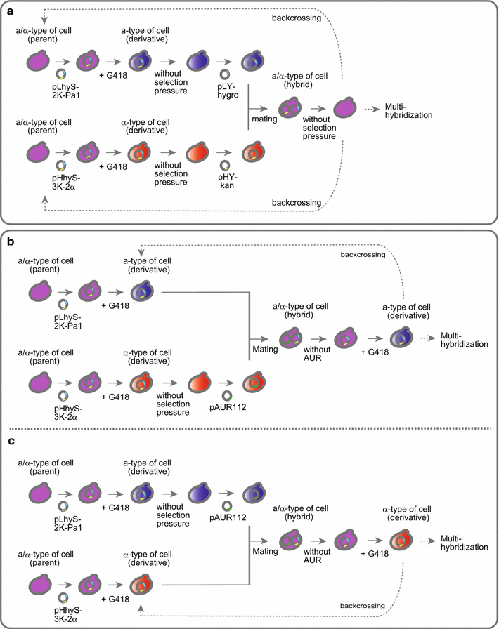 Fig. 2