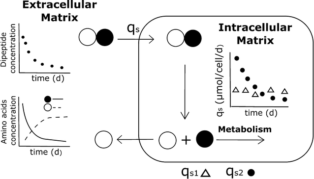 Fig. 9