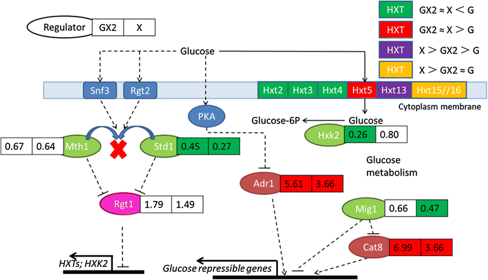 Fig. 4