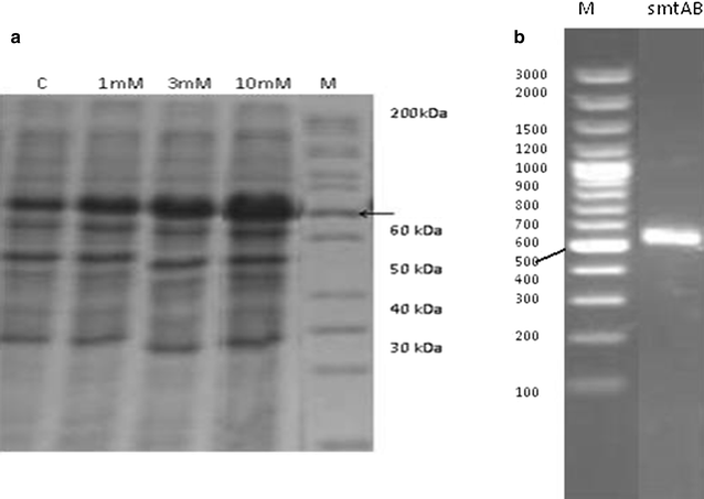 Fig. 7