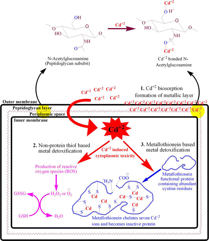 Fig. 9