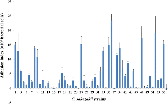 Fig. 1