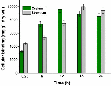 Fig. 4