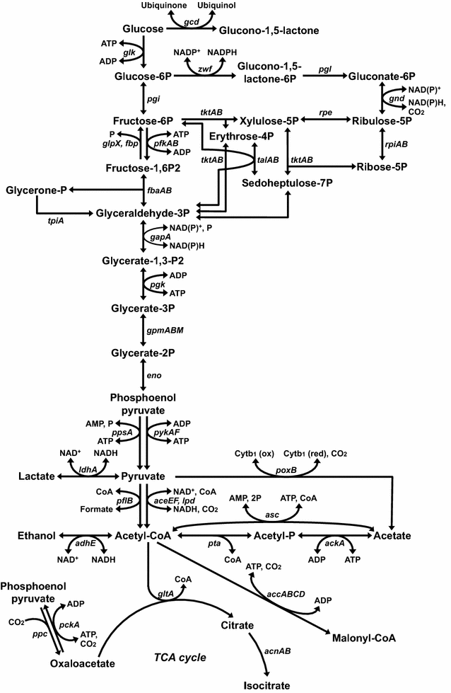 Fig. 1