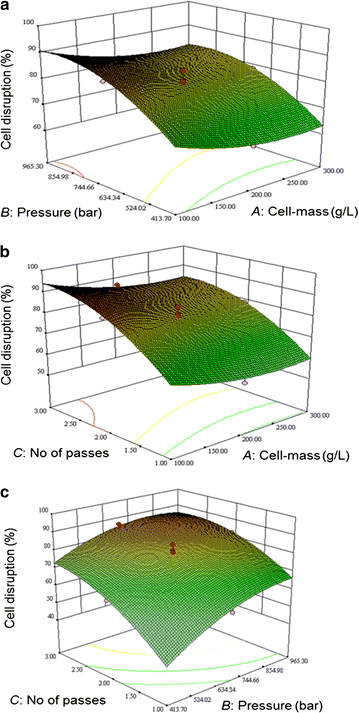 Fig. 3