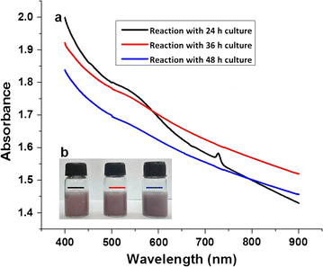 Fig. 2