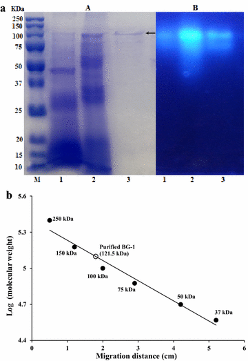 Fig. 5