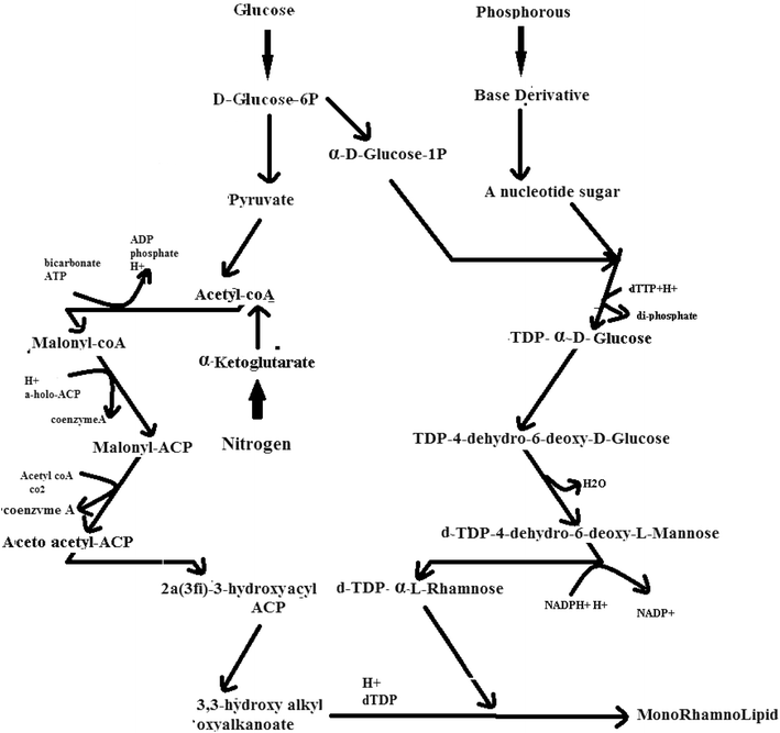 Fig. 7