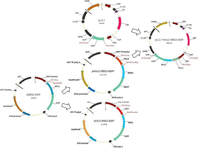 Fig. 1