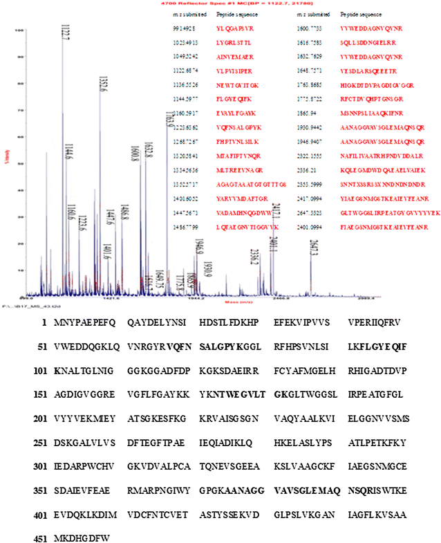 Fig. 2