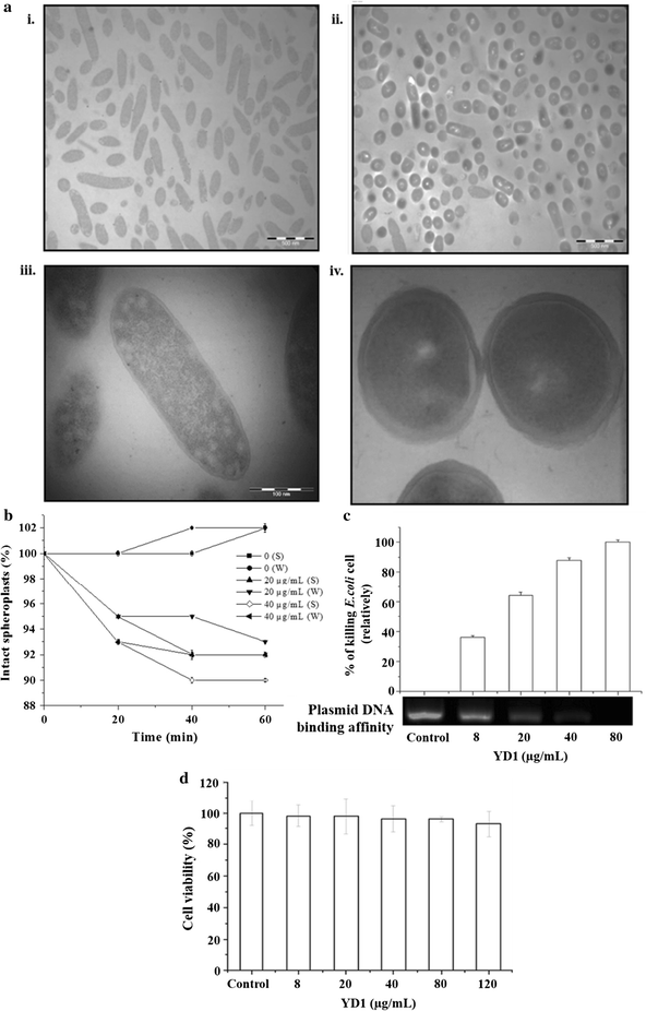 Fig. 5