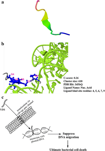 Fig. 6