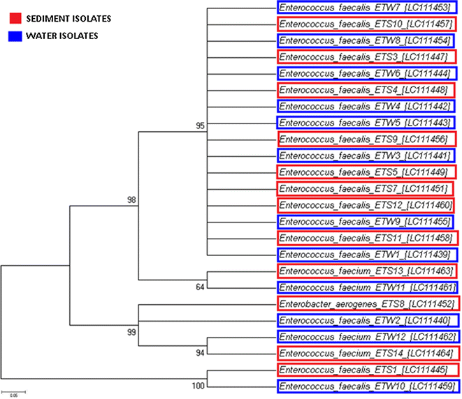 Fig. 4