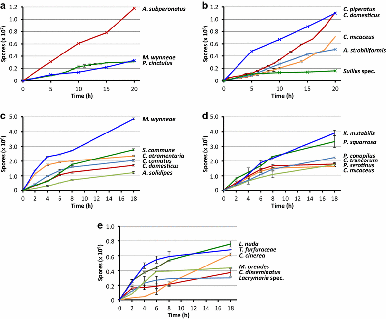 Fig. 2