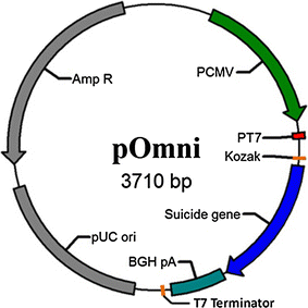 Fig. 1