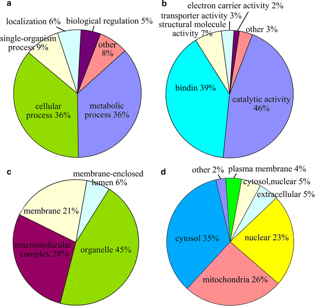 Fig. 6