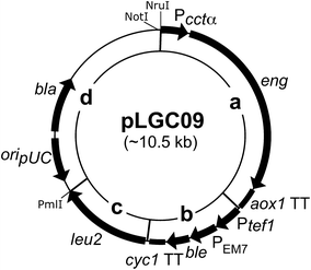 Fig. 1