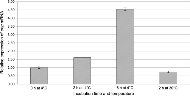 Fig. 4