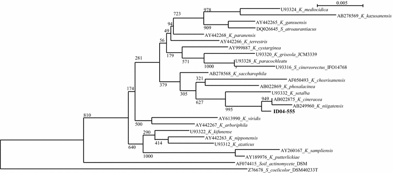 Fig. 2