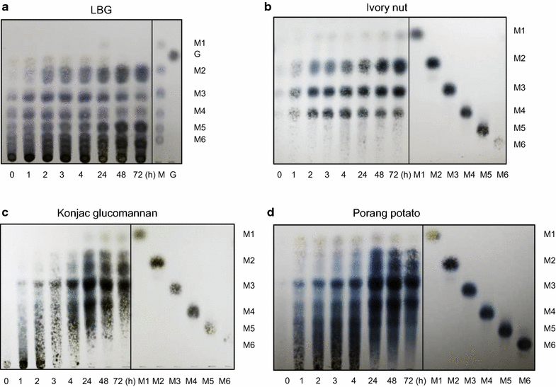 Fig. 5