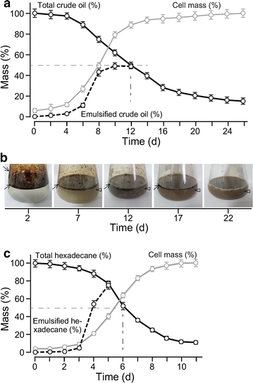 Fig. 6