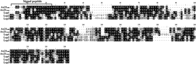 Fig. 1