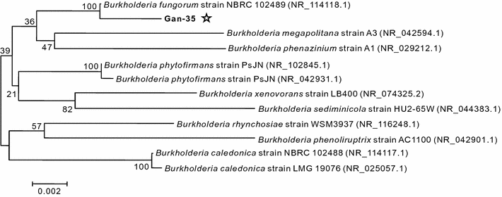 Fig. 4