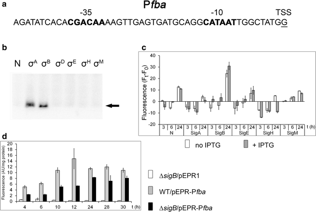 Fig. 7