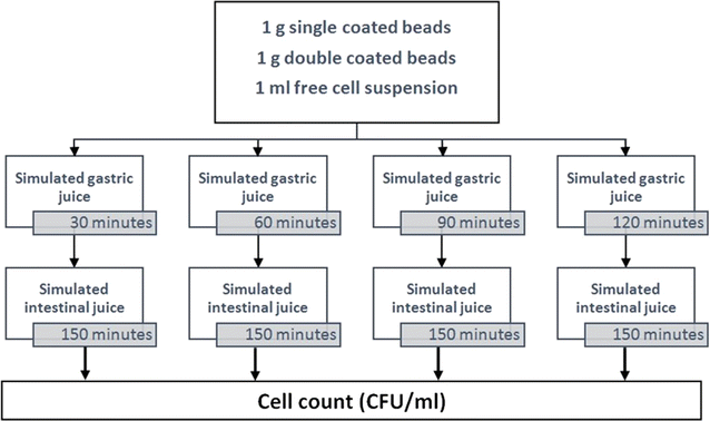 Fig. 2