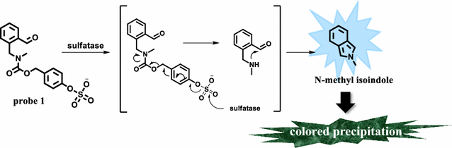 Scheme 1