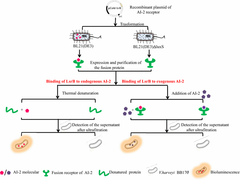 Fig. 7