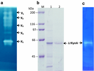 Fig. 4