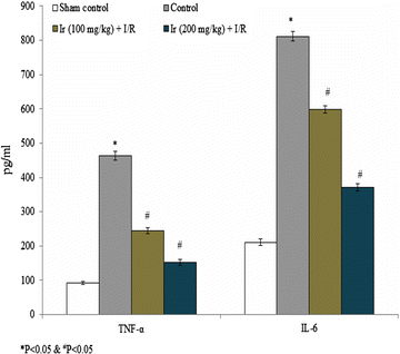 Fig. 7