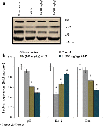 Fig. 8