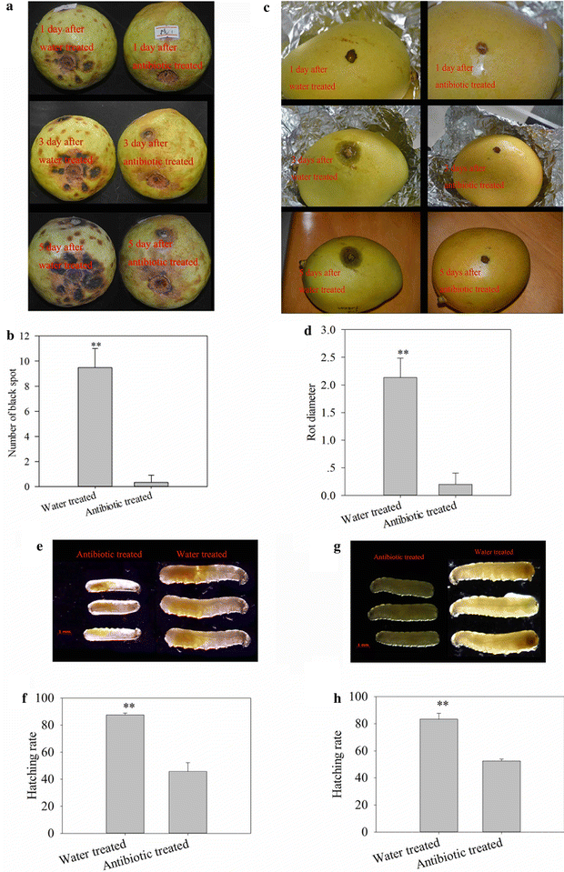 Fig. 5