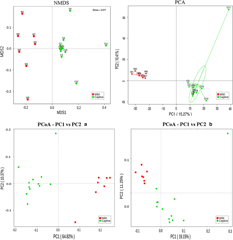 Fig. 6