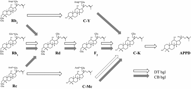 Fig. 4