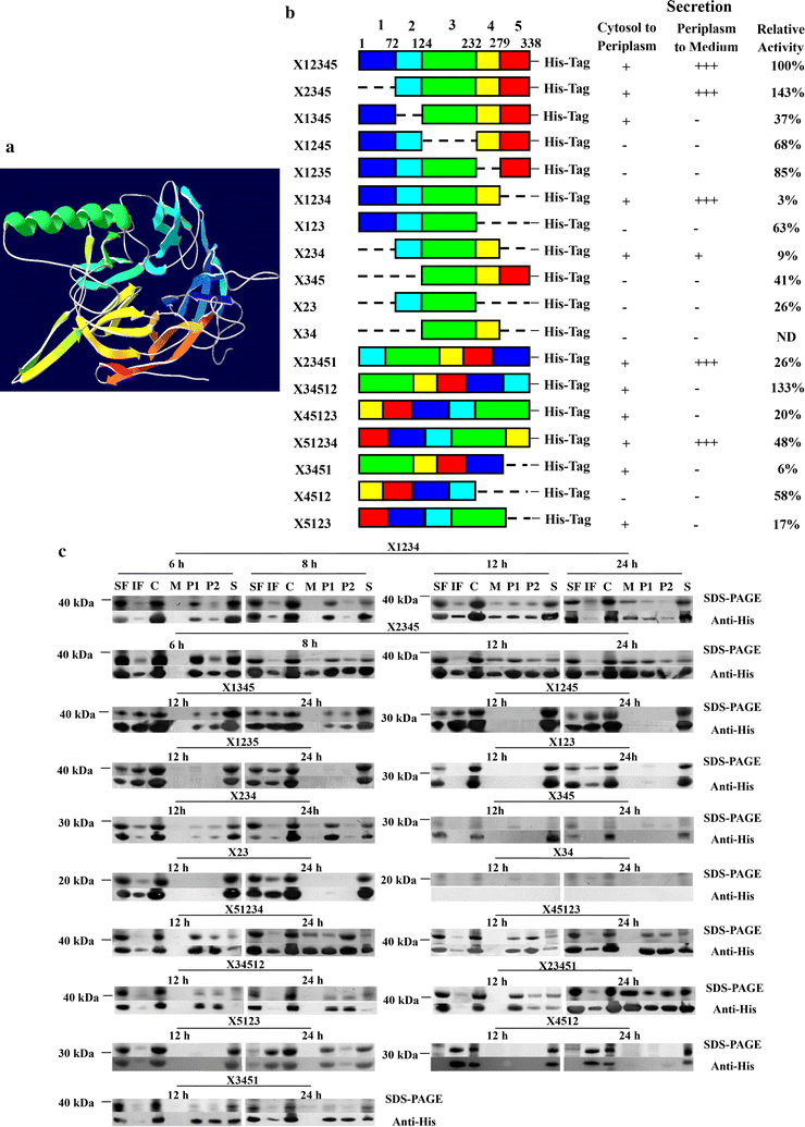 Fig. 2