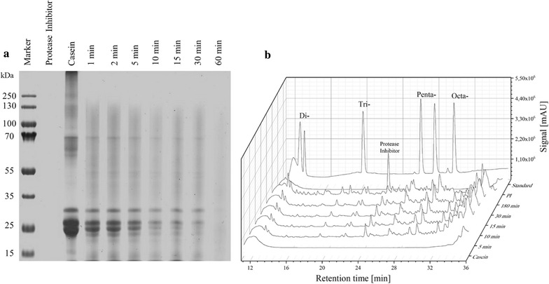 Fig. 3