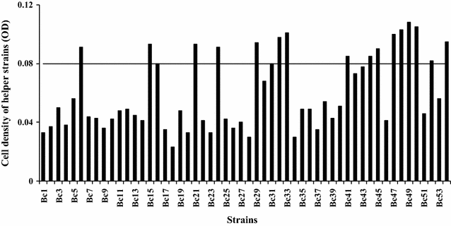 Fig. 3