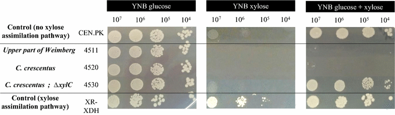 Fig. 2