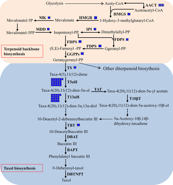 Fig. 5