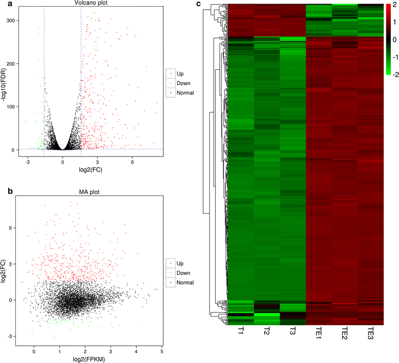 Fig. 3