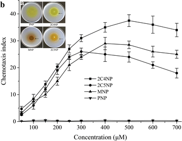 Fig. 4