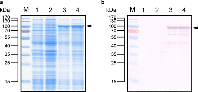 Fig. 1