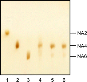 Fig. 5