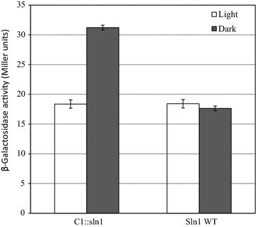 Fig. 3