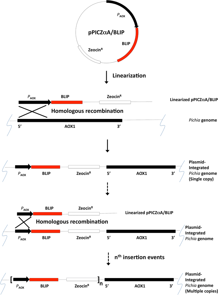 Fig. 2